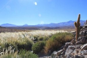 IMG_0634