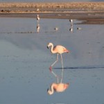 IMG_0759