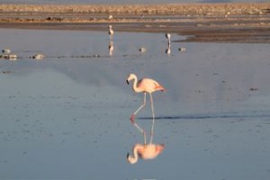 IMG_0759