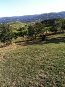 Piedmont hills